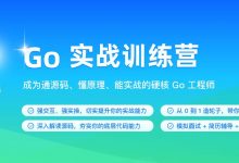 Go实战训练营，Go语言优质视频教程+资料(45G) 价值6999元