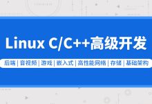 新版Linux C C++高级全栈开发(后端/游戏-/嵌入式/高性能网络/存储/基础架构)-VIPC6资源网