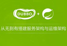 龙果学院:从无到有搭建中小型互联网公司后台服务架构与运维架构,108讲完整下载-VIPC6资源网
