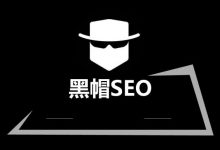 流量贩子GoGo闯:SEO黑帽点击快排发包+Python应用软件编程技术 (含工具)-VIPC6资源网
