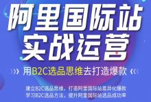 利用B2C的选品思维打造爆款,阿里国际站卖家及运营实战课程-VIPC6资源网