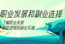 村西边老王:职业发展和副业选择,主业与副业规划-VIPC6资源网
