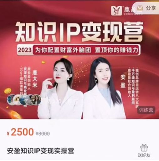 知识IP变现训练营，手把手带你用知识挣钱 价值2500元