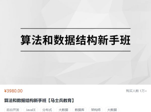 算法和数据结构新手班