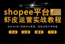 shopee从小白到大神,最新虾皮入驻开店+运营出单 视频教程合集-VIPC6资源网