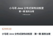 小马哥 Java 分布式架构训练营,第1期服务治理+第2期模式设计与实现-VIPC6资源网