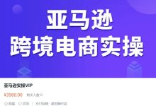 跨境电商培训:亚马逊VIP实操课程-VIPC6资源网